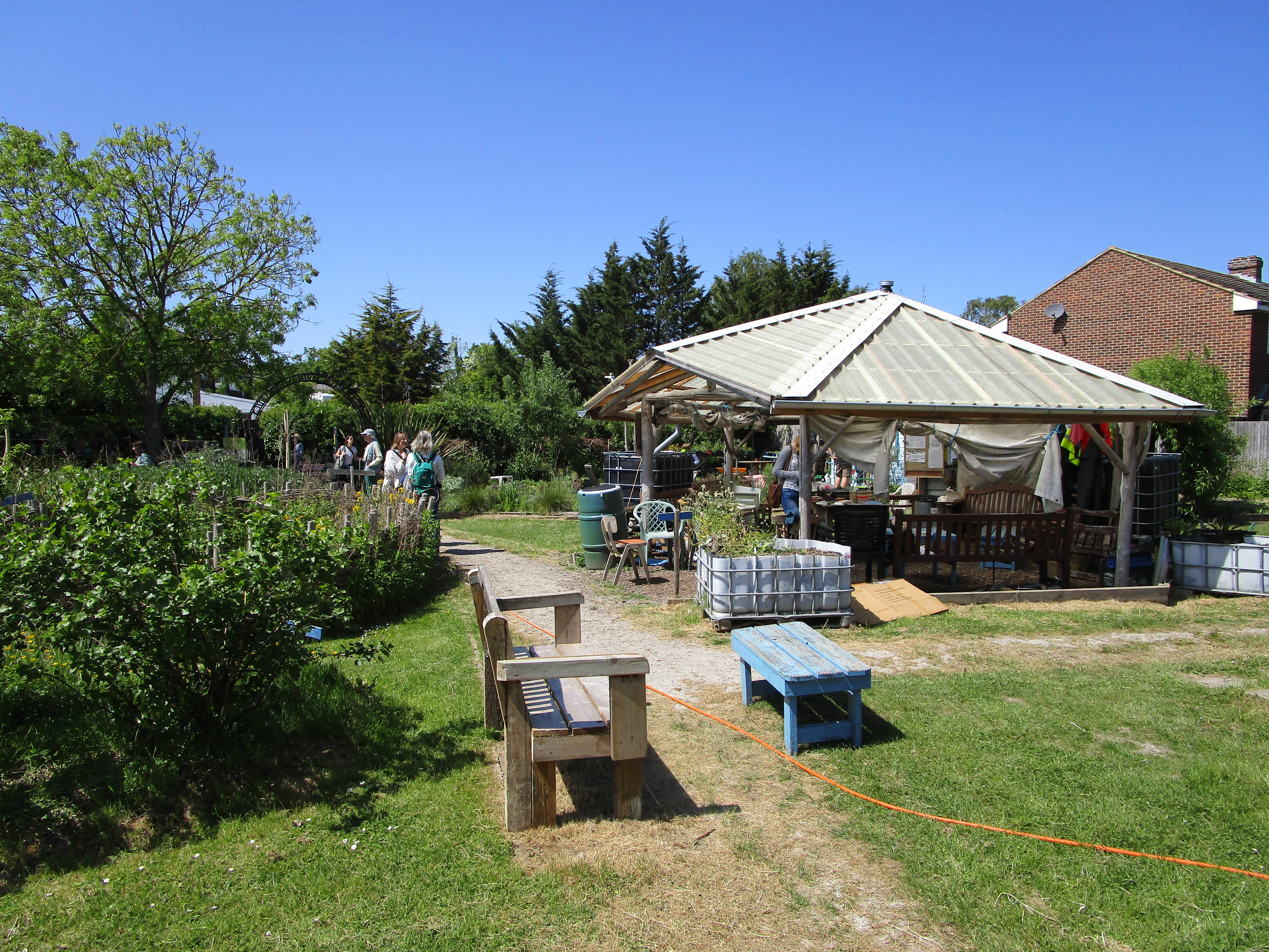 Field meeting at Stream Walk Community Garden, Whitstable